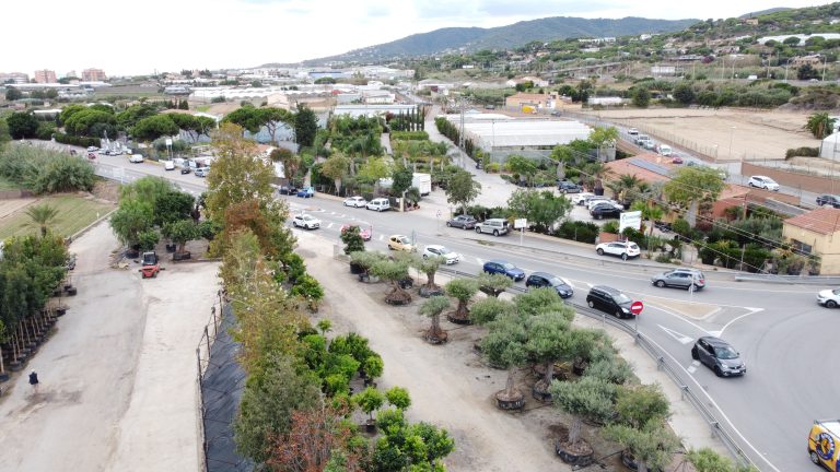 Viveros Cabrera: exposición profesional de arbolado y arbustiva