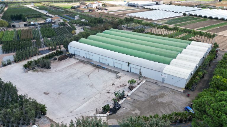 Barnaplant: servicio integral de localización y suministro de especies