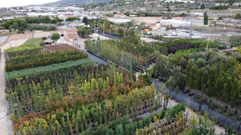 Arribas Center: punto de producción y control de calidad de arbolado