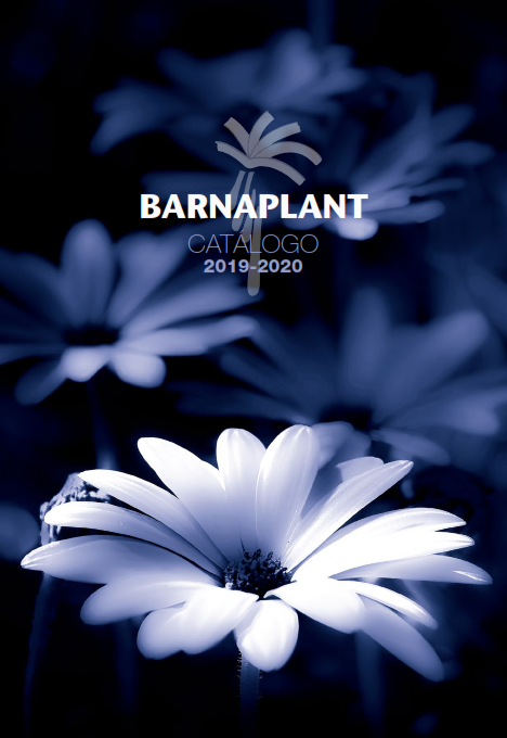 Portada_Catalogo (14)