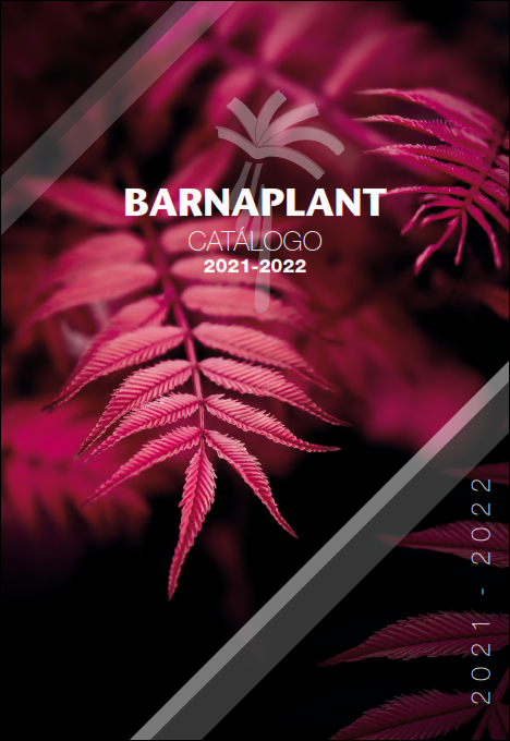 Portada_Catalogo (16)