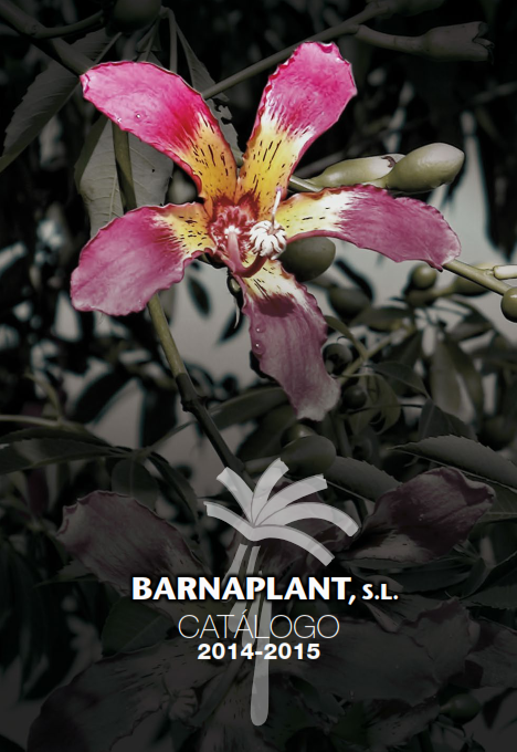 Portada_Catalogo (9)