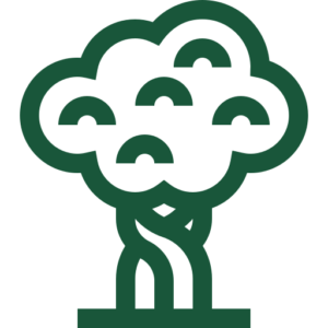 Árboles-Ornamentales